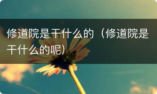 修道院是干什么的（修道院是干什么的呢）