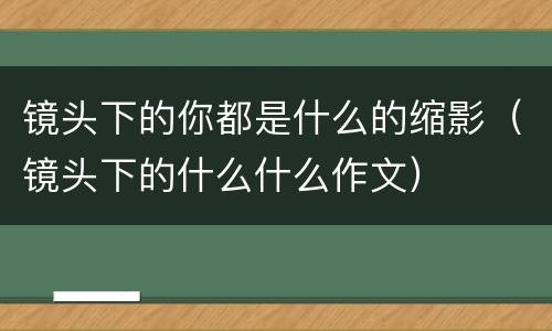 镜头下的你都是什么的缩影（镜头下的什么什么作文）