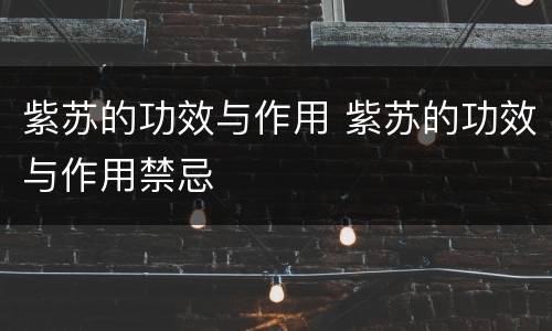 紫苏的功效与作用 紫苏的功效与作用禁忌