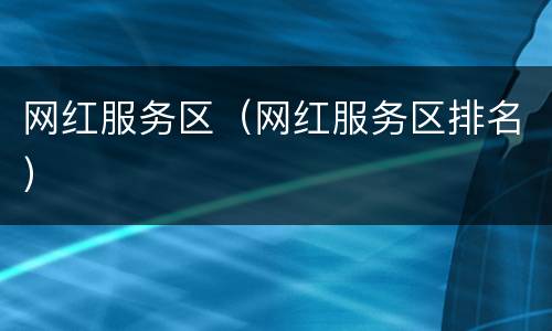 网红服务区（网红服务区排名）