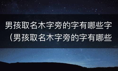 男孩取名木字旁的字有哪些字（男孩取名木字旁的字有哪些字好听）