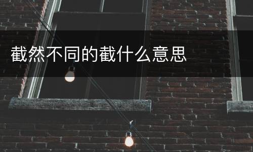 截然不同的截什么意思