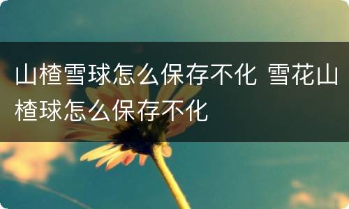 山楂雪球怎么保存不化 雪花山楂球怎么保存不化