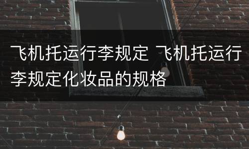 飞机托运行李规定 飞机托运行李规定化妆品的规格