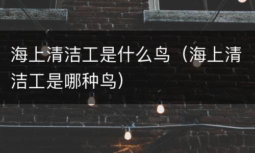 海上清洁工是什么鸟（海上清洁工是哪种鸟）