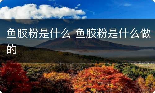 鱼胶粉是什么 鱼胶粉是什么做的