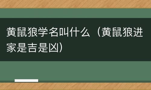 黄鼠狼学名叫什么（黄鼠狼进家是吉是凶）