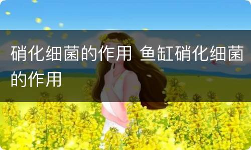 硝化细菌的作用 鱼缸硝化细菌的作用