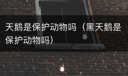 天鹅是保护动物吗（黑天鹅是保护动物吗）