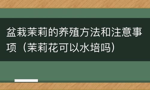 盆栽茉莉的养殖方法和注意事项（茉莉花可以水培吗）