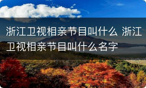 浙江卫视相亲节目叫什么 浙江卫视相亲节目叫什么名字