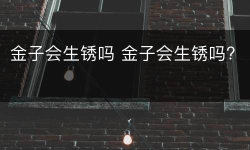 金子会生锈吗 金子会生锈吗?