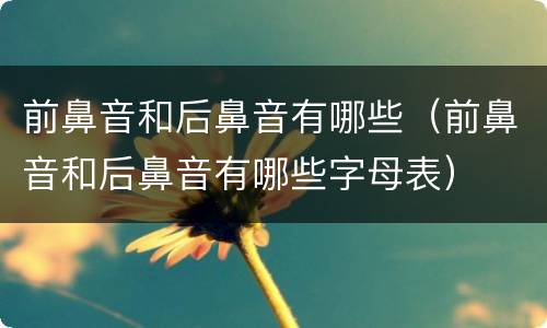 前鼻音和后鼻音有哪些（前鼻音和后鼻音有哪些字母表）