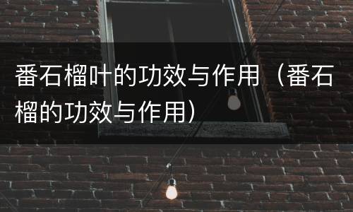 番石榴叶的功效与作用（番石榴的功效与作用）