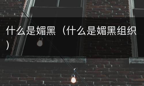 什么是媚黑（什么是媚黑组织）