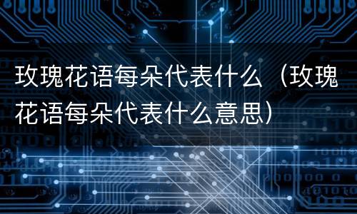 玫瑰花语每朵代表什么（玫瑰花语每朵代表什么意思）