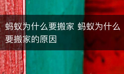 蚂蚁为什么要搬家 蚂蚁为什么要搬家的原因