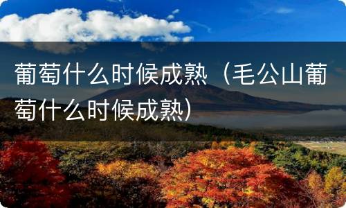 葡萄什么时候成熟（毛公山葡萄什么时候成熟）
