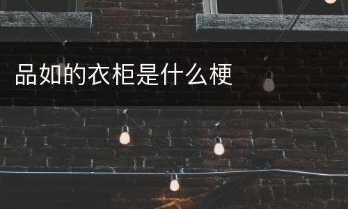 品如的衣柜是什么梗