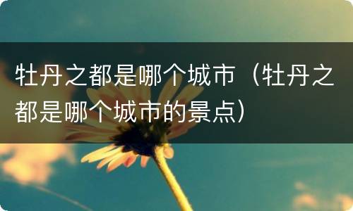 牡丹之都是哪个城市（牡丹之都是哪个城市的景点）