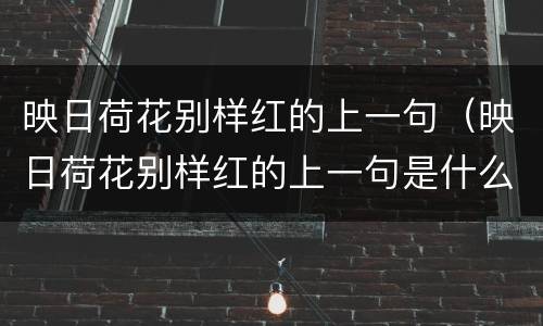 映日荷花别样红的上一句（映日荷花别样红的上一句是什么）