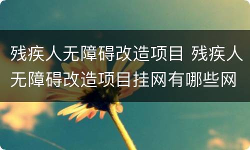 残疾人无障碍改造项目 残疾人无障碍改造项目挂网有哪些网站