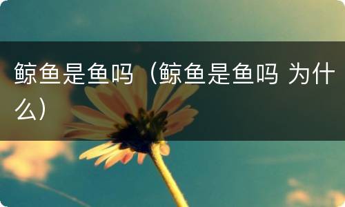 鲸鱼是鱼吗（鲸鱼是鱼吗 为什么）