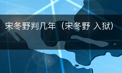 宋冬野判几年（宋冬野 入狱）