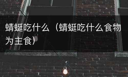 蜻蜓吃什么（蜻蜓吃什么食物为主食）