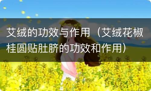 艾绒的功效与作用（艾绒花椒桂圆贴肚脐的功效和作用）