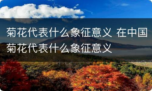 菊花代表什么象征意义 在中国菊花代表什么象征意义