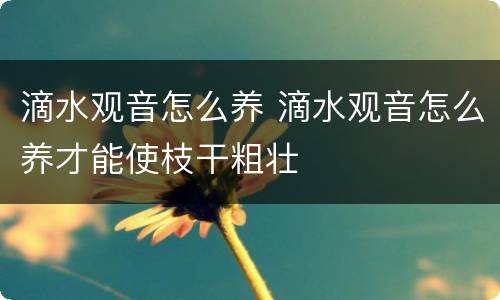 滴水观音怎么养 滴水观音怎么养才能使枝干粗壮