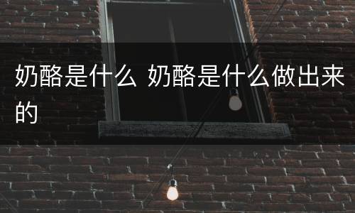 奶酪是什么 奶酪是什么做出来的