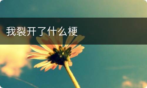 我裂开了什么梗