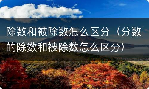 除数和被除数怎么区分（分数的除数和被除数怎么区分）
