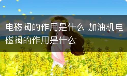 电磁阀的作用是什么 加油机电磁阀的作用是什么