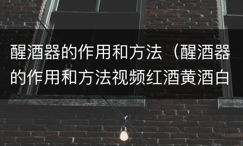 醒酒器的作用和方法（醒酒器的作用和方法视频红酒黄酒白酒）