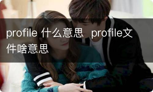 profile 什么意思  profile文件啥意思