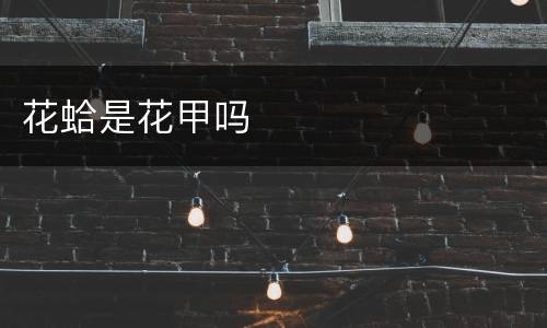 花蛤是花甲吗