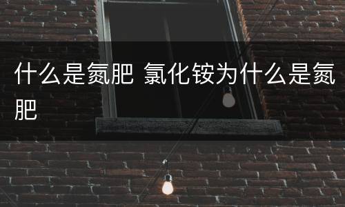 什么是氮肥 氯化铵为什么是氮肥