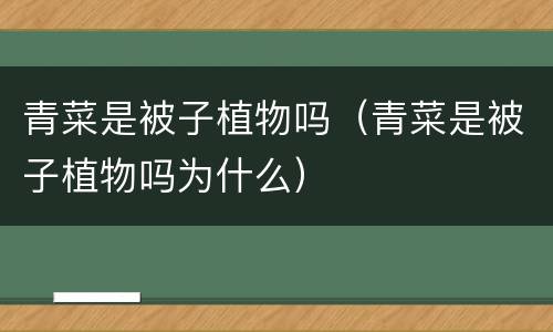 青菜是被子植物吗（青菜是被子植物吗为什么）
