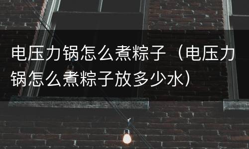 电压力锅怎么煮粽子（电压力锅怎么煮粽子放多少水）