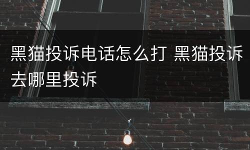 黑猫投诉电话怎么打 黑猫投诉去哪里投诉