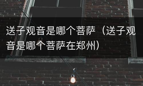 送子观音是哪个菩萨（送子观音是哪个菩萨在郑州）