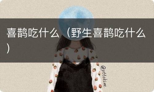 喜鹊吃什么（野生喜鹊吃什么）