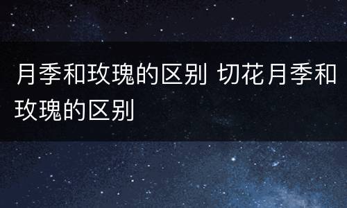 月季和玫瑰的区别 切花月季和玫瑰的区别