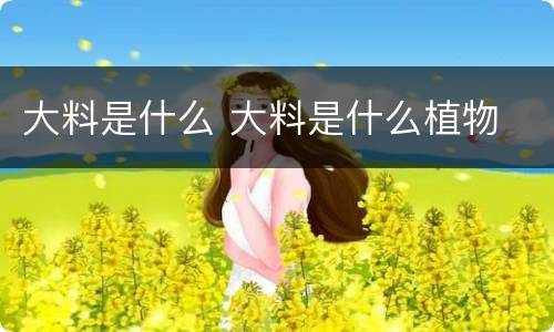 大料是什么 大料是什么植物