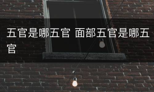 五官是哪五官 面部五官是哪五官