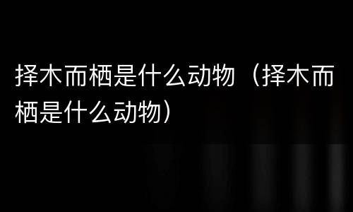 择木而栖是什么动物（择木而栖是什么动物）