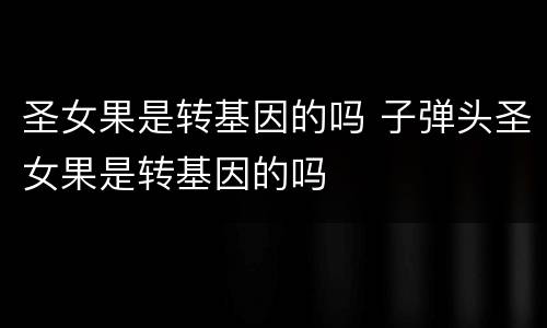 圣女果是转基因的吗 子弹头圣女果是转基因的吗